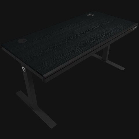Dual-motor sit/stand adjustable-height gaming desk with wireless charger, RGB lighting, control panel, and USB ports, PB melamin