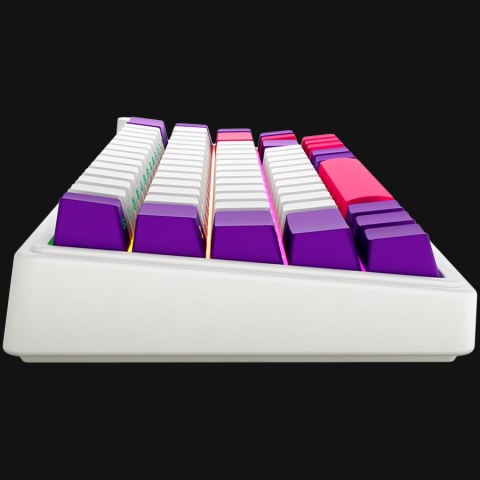 LORGAR Gaming Keyboard KBP70MW Pro Wireless 65% White EN