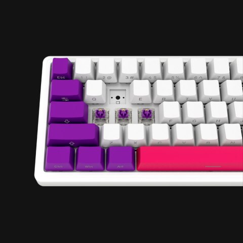 LORGAR Gaming Keyboard KBP70MW Pro Wireless 65% White EN