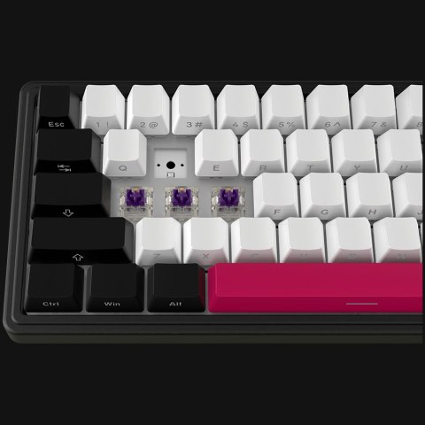 LORGAR Gaming Keyboard KBP70MW Pro Wireless 65% Black EN
