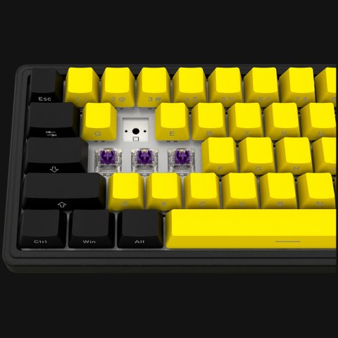 LORGAR Gaming Keyboard KBP70MW Pro Wireless 65% Yellow EN