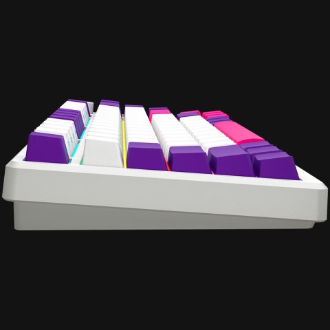 LORGAR Gaming Keyboard KBP7075W Pro Wireless 75% White EN