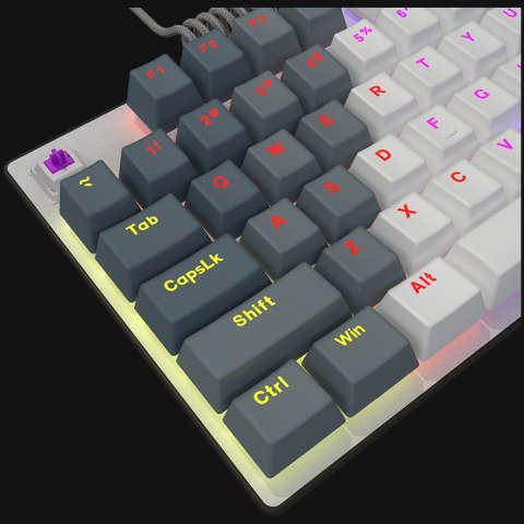 LORGAR Gaming Keyboard Azar 514TKL Wired White EN