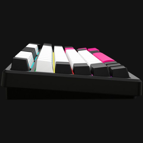 LORGAR Gaming Keyboard KBP7075W Pro Wireless 75% Black EN