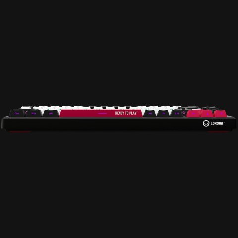 LORGAR Gaming Keyboard KBP7075W Pro Wireless 75% Black EN
