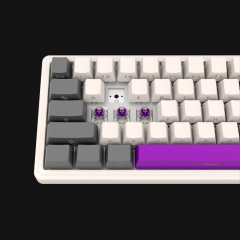 LORGAR KBP70MW, Wireless 65% Mechanical Gaming Keyboard Pro, Beige, EN layout
