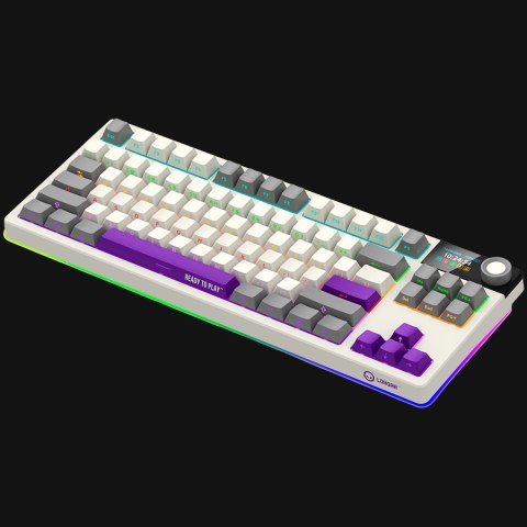 LORGAR KBP70TKLW, Wireless TKL Mechanical Gaming Keyboard Pro, Beige, EN layout