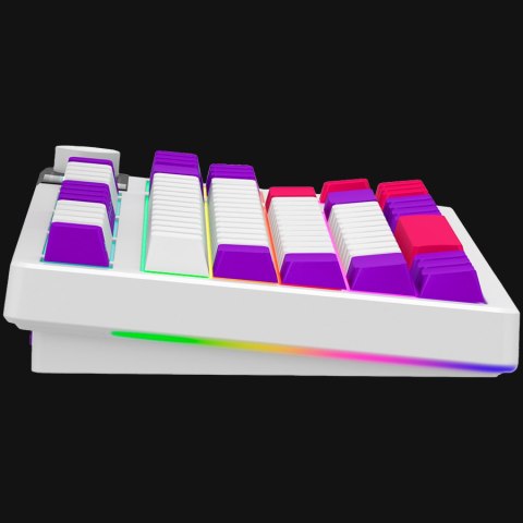 LORGAR Gaming Keyboard KBP70TKLW Pro Wireless White EN