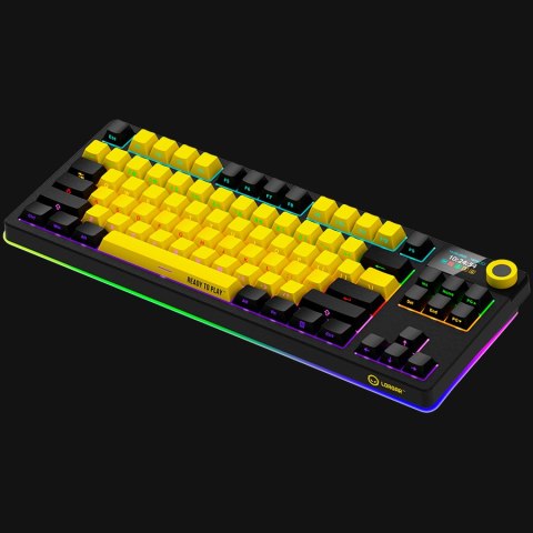 LORGAR Gaming Keyboard KBP70TKLW Pro Wireless Yellow EN